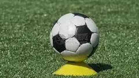 香港田径协会公开道歉