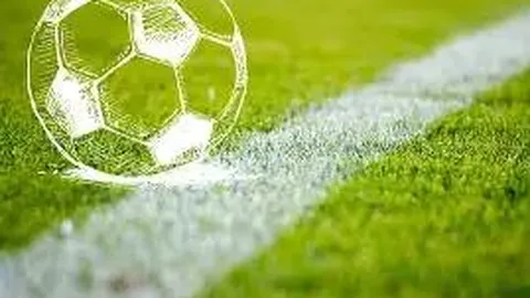 熊猫体育 产品 100223 t3d