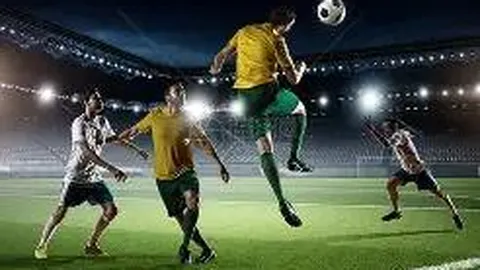 熊猫体育 资讯 112143 j4l