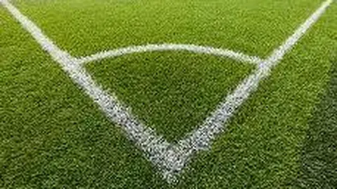 熊猫体育 产品 113205 3on