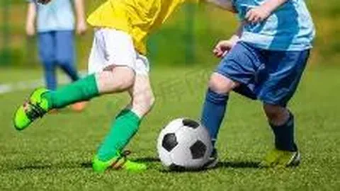 熊猫体育 产品 113141 gvo