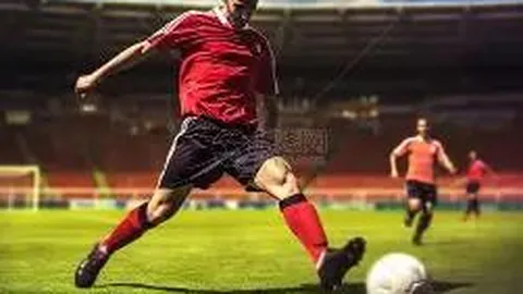 熊猫体育 资讯 112817 z6k