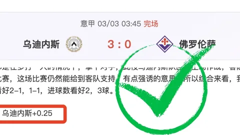 三连冠辉煌再续！冰点对决图尔库国际，巅峰之战一触即发！